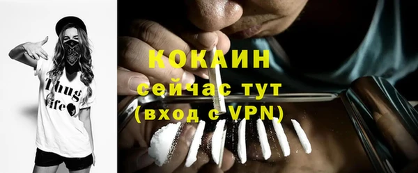 альфа пвп Новодвинск