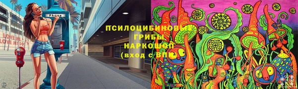 МДПВ Новозыбков