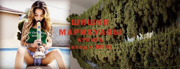 МДПВ Новозыбков
