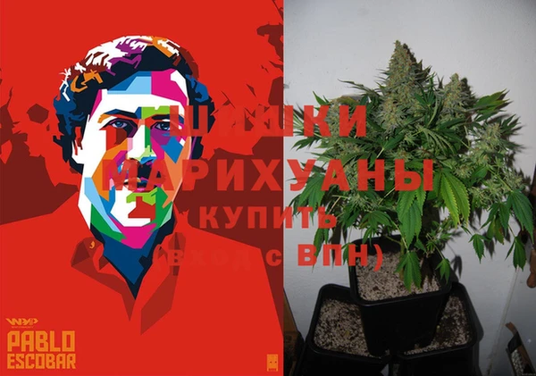 альфа пвп Новодвинск