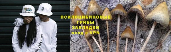 альфа пвп Новодвинск
